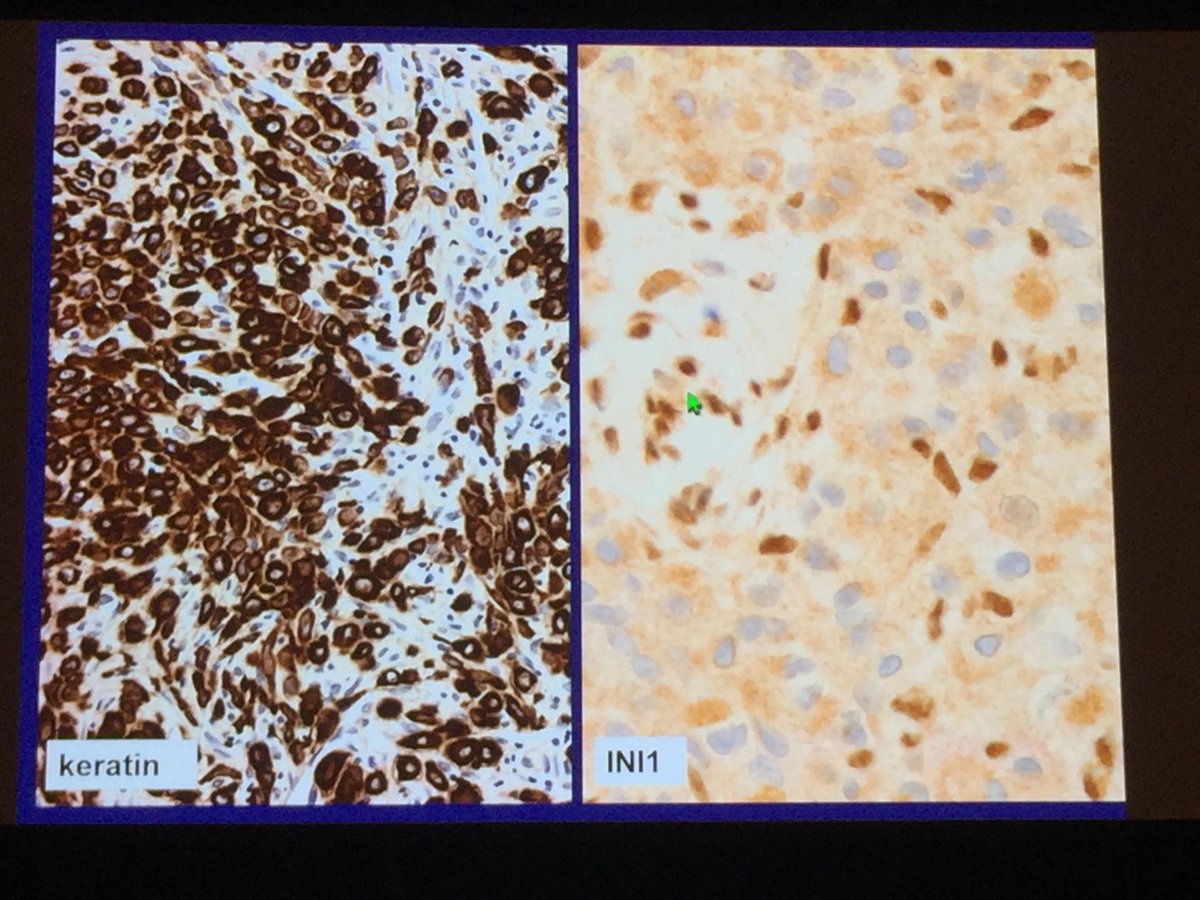 Jerad Gardner, MD tweet media