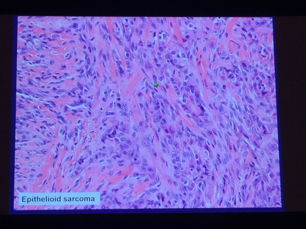 Jerad Gardner, MD tweet media