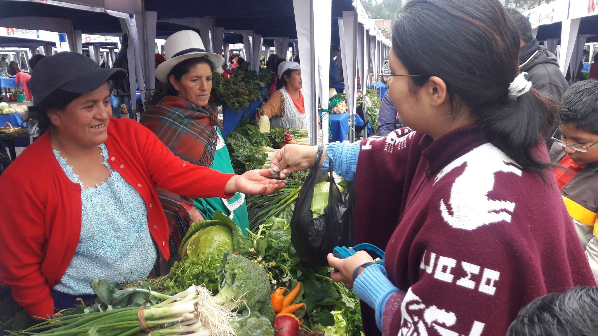 La Voz del Tomebamba on Twitter "Se realiza Feria de agro
