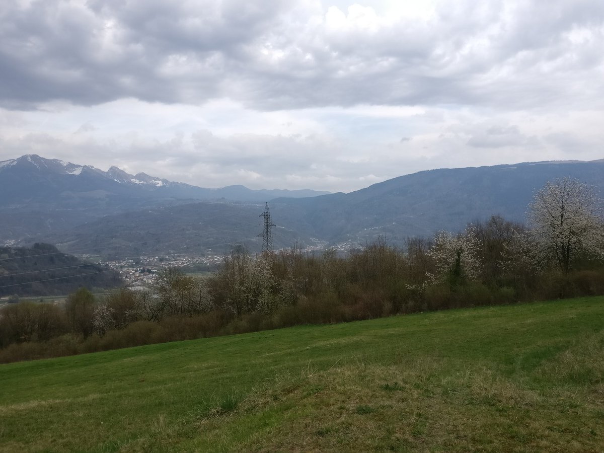 galloforcello2's tweet photo. La conca alpagota #alpago e l'altopiano del #Cansiglio vista dalla località di #roncan #belluno #turismo @TurismoVeneto @volgoitalia https://t.co/Ecfw3jGxAT