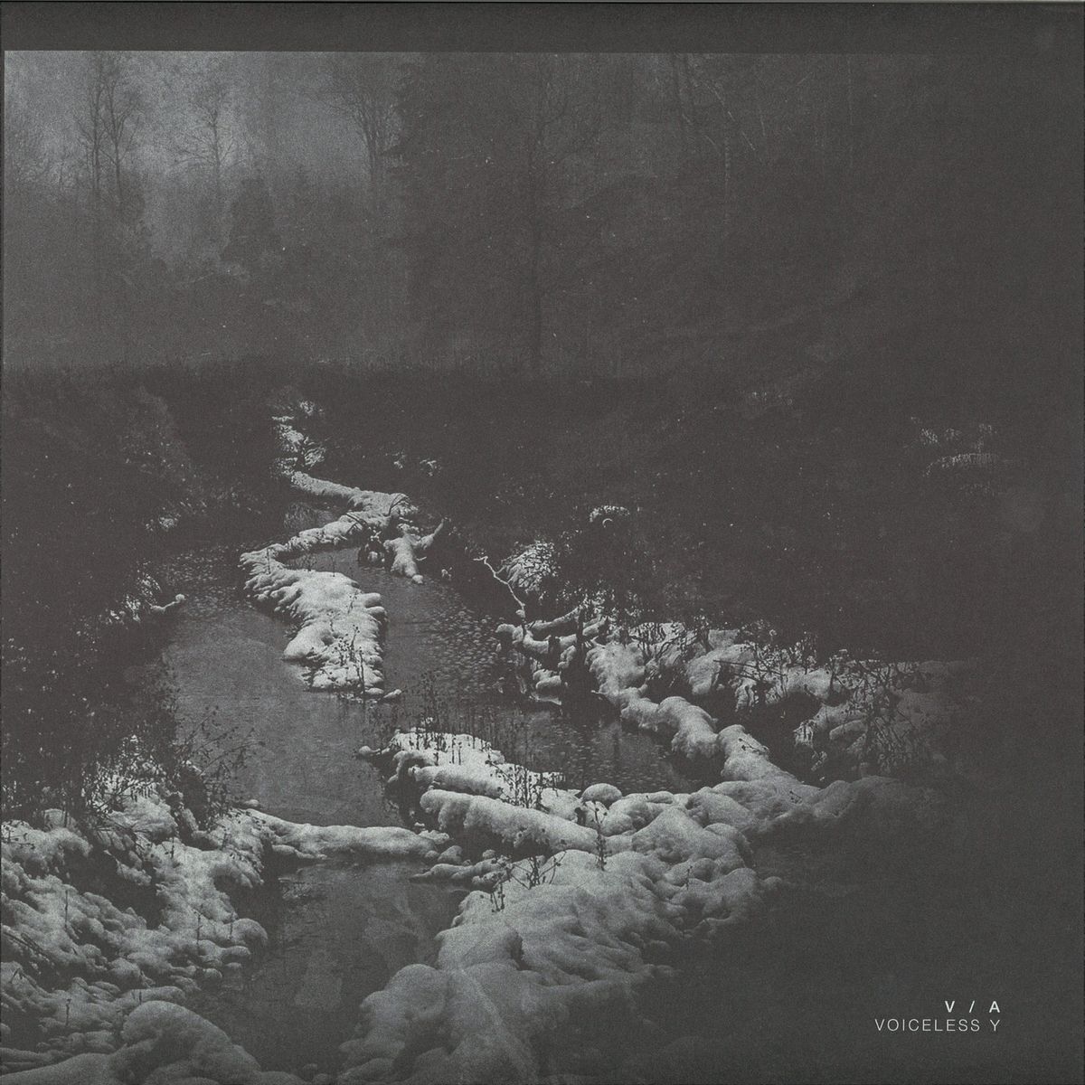 MusicamRecords's tweet photo. Analogical Force 05Y - Various Artists - Voiceless Y (12''-Vinyl) #AnalogicalForce https://t.co/2XalnWcWoM