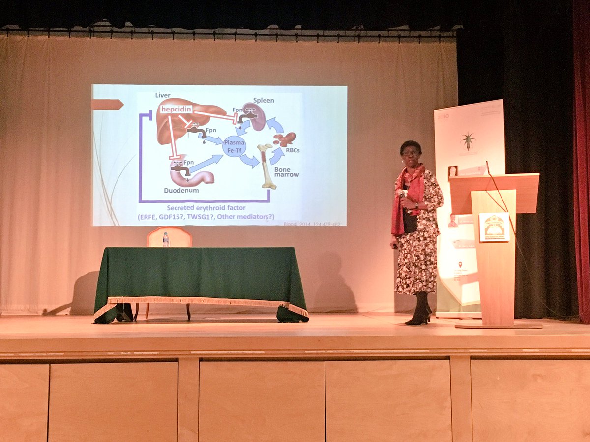 SSSS_UK's tweet photo. #المنتدى_العلمي_الأول
#رؤية_علمية_واعدة
#Promising_Scientific_Vision
#First_Scientific_Forum
Dr Yemisi Latunde-Dada
@KingsCollegeLon https://t.co/S8IjC6gG0z