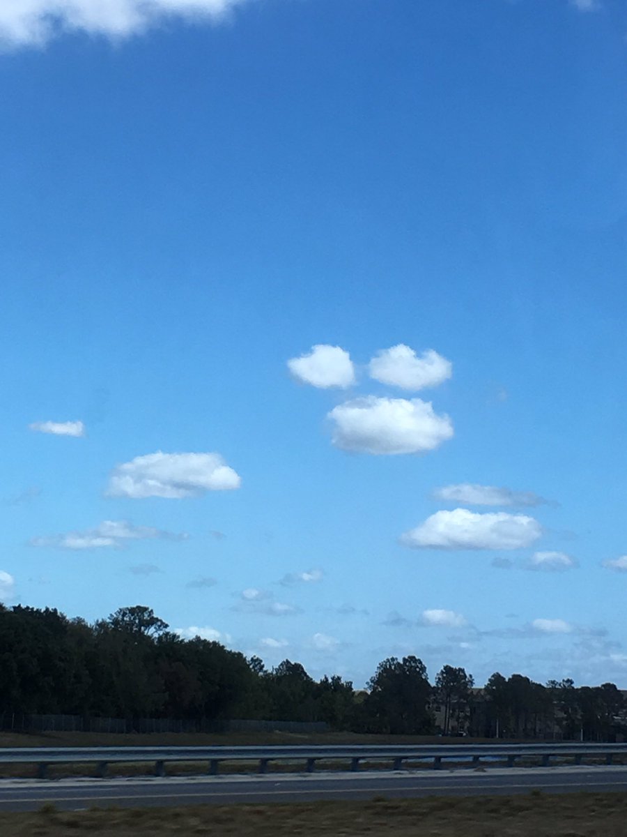 TERM LIMITS tweet media