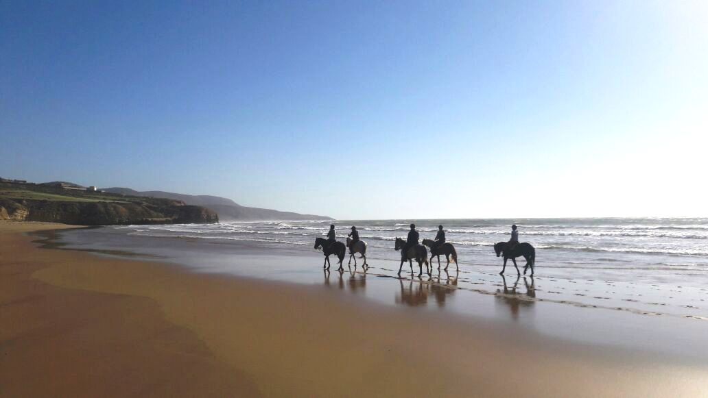 ZouinaCheval's tweet photo. #randonneeequestre de 4 jours au #Maroc dans la région d'#Essaouira du 27 au 30/03/17. Superbe semaine, des paysages toujours aussi beaux 🤠🐴 https://t.co/0DAQJHU4FO