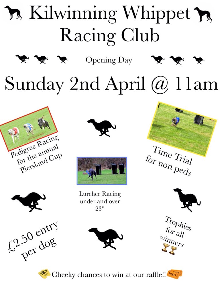 #Kilwinning #Ayrshire #openday #racing #dogs #whippetracing #lurcherracing #timetrial #pierslandcup #sundayfunday
