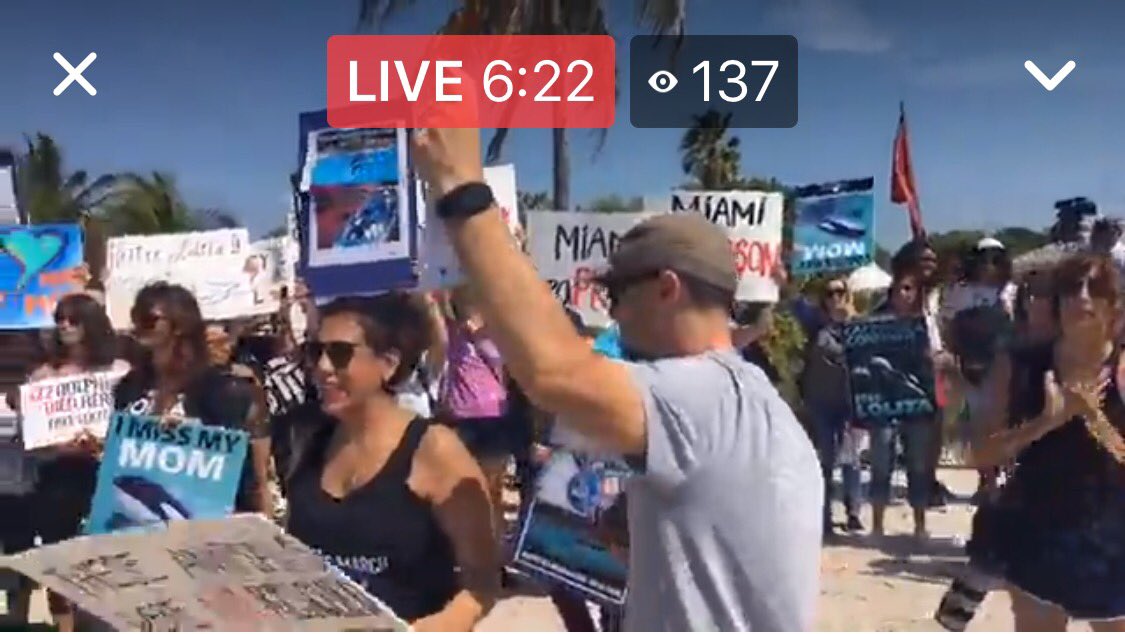 Dolphin_Project's tweet photo. We are LIVE in Miami at the Miracle March for Lolita — in captivity for over 46 years. Watch on Facebook. #DolphinProject #DontBuyATicket https://t.co/gClH1a6QRv