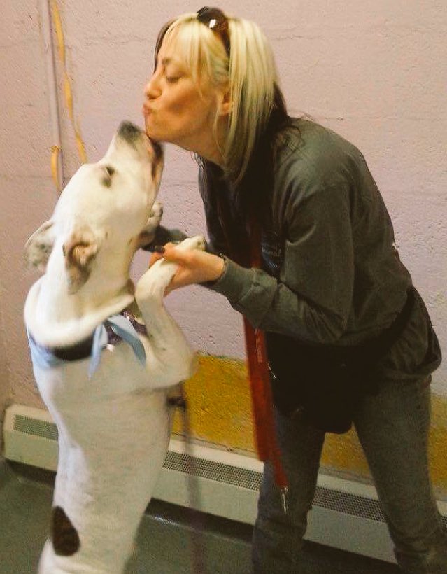 TheRealToriNYC's tweet image. #ADOPTBUDDY 👆AT #LONGISLAND #NY SHELTER SINCE 10/2015!!! 😢