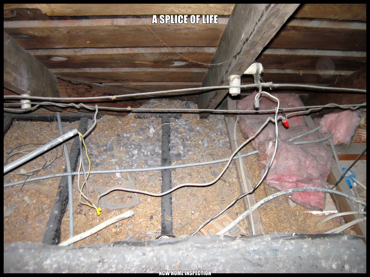Someone having way too much fun in an attic.
#homebuying
#wenatchee
#wenatcheehomeinspection