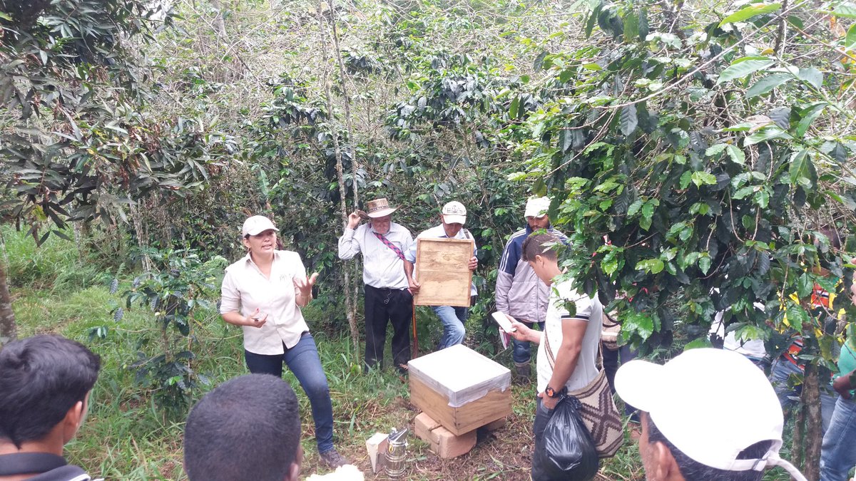 agrosolidariac's tweet image. Escuela de formación #apícola Agrosolidara  Codazzi.