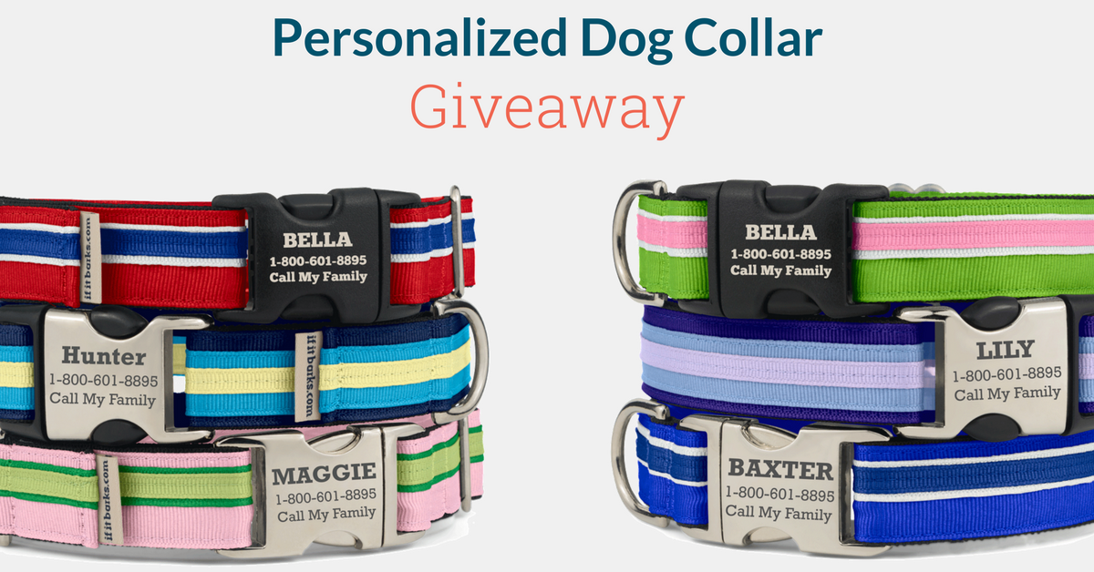 Free Personalized Dog Collar Giveaway every day in April (30 Winners) Enter Now to Win!  bit.ly/2oKD8oX #dogs #dogsoftwitter