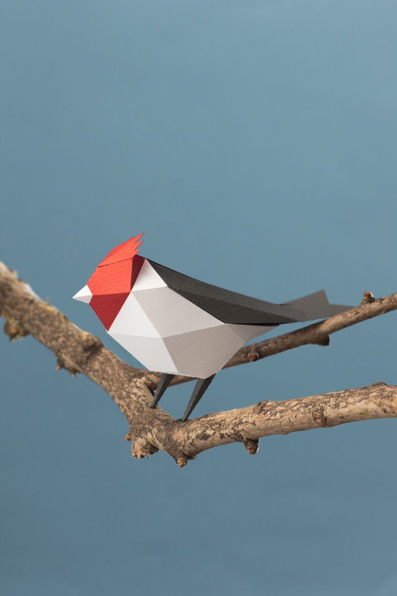fubiz's tweet photo. Cute Animals in Cardboard to Assemble https://t.co/He4J3vDk2t https://t.co/xwVfAgeaR0