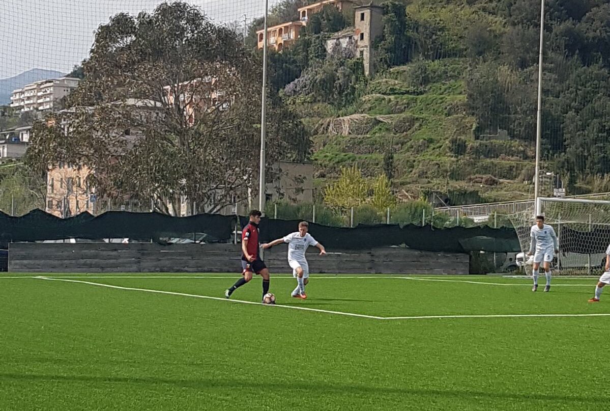 Novara Calcio 1908 tweet media