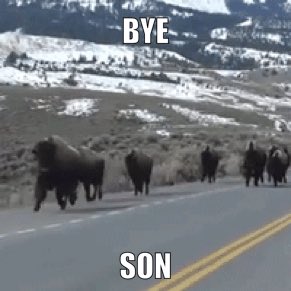 MAB_Yellowstone's tweet photo. Us going through Kansas: 

#MABadJokes #MAByeSon https://t.co/Q394BXYPOs