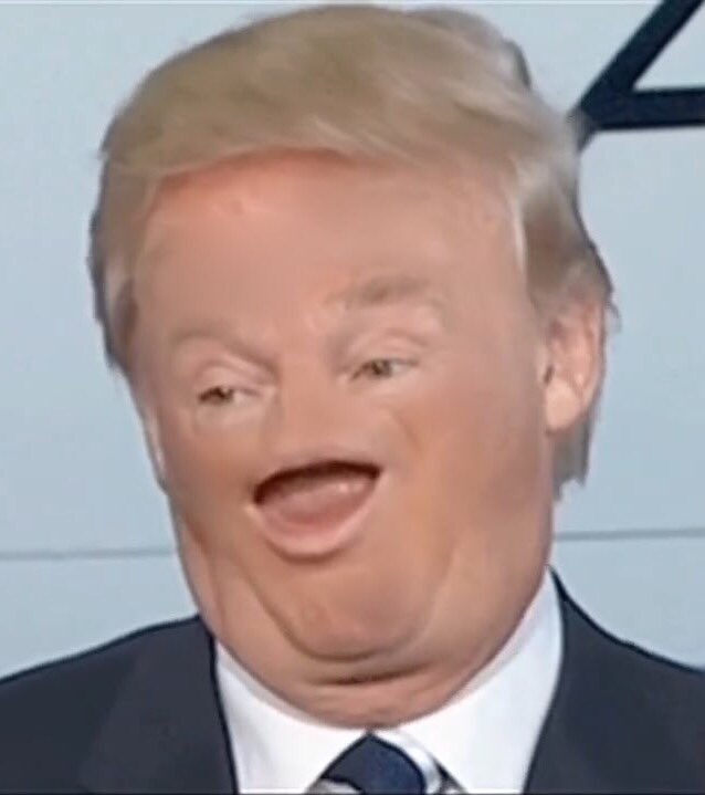 _Steve_Brule's tweet image. Photo I took of Dornald Trumpets. My spaghetti house is upset from all these horse eggs, have a great day ya dingus. #ForYourEggs