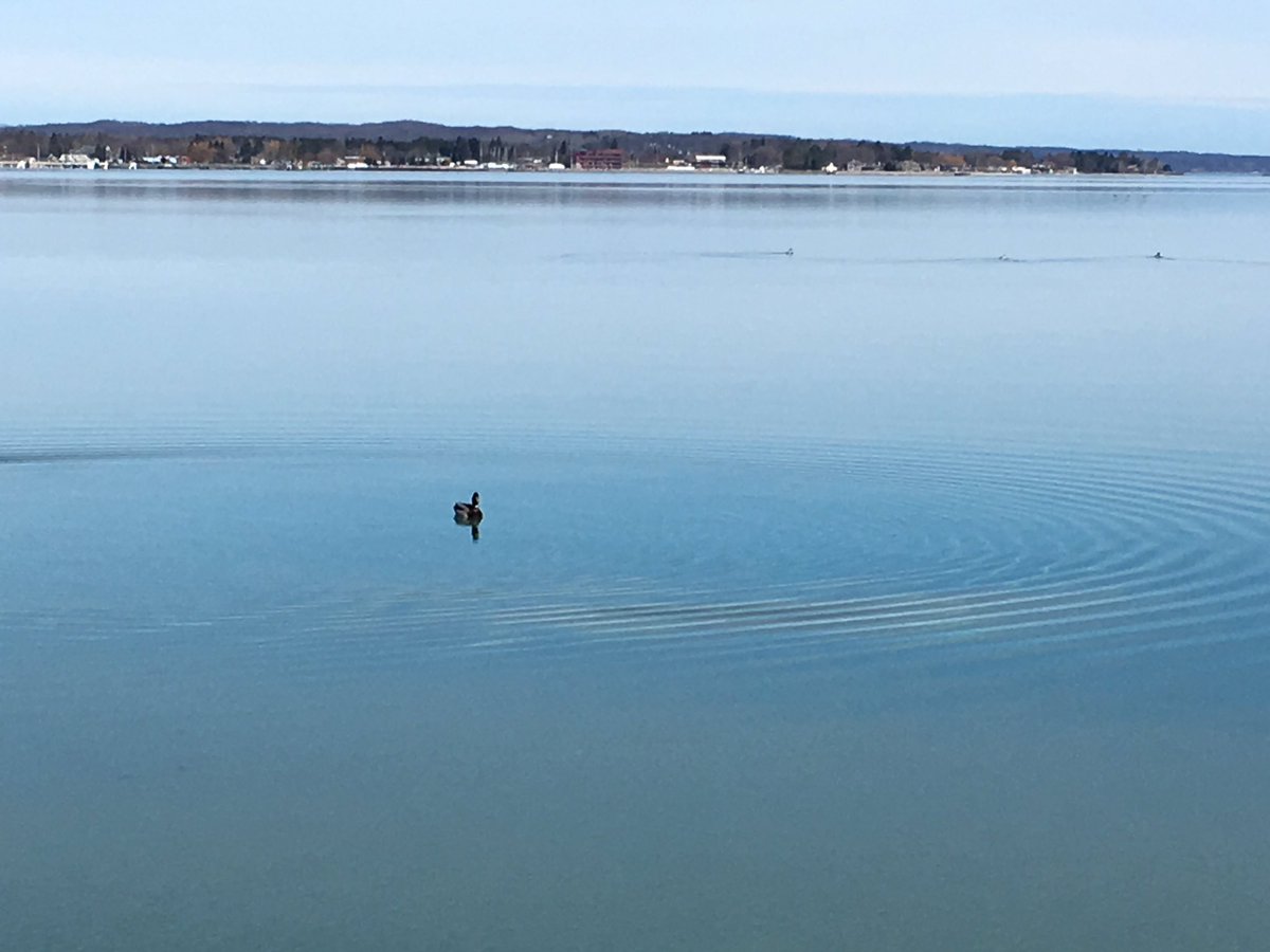 PopcornONeal's tweet photo. I love spring! Happy April Fool's Day! #RunTC #Bayshore2017 https://t.co/Fnl1iHcMSN
