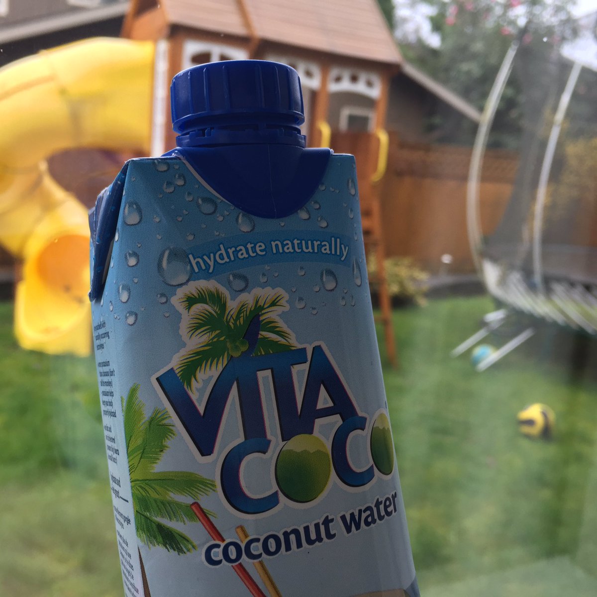 HFLVancouver's tweet photo. Did you taste @VitaCoco at the Expo last weekend? Our favourite way to hydrate with a hint of flavour - grab yours at @WFMVan #HFE2017 https://t.co/FtW12PCCP6