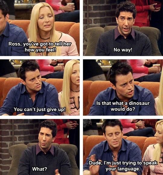 "Is that what a dinosaur would do?" 😂😂😂