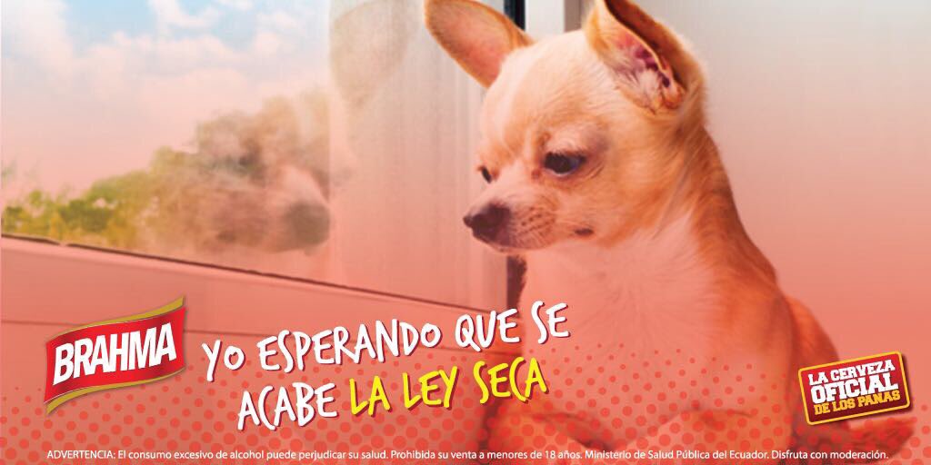 Dale RT si tú también te sientes así por la Ley seca. #Brahma