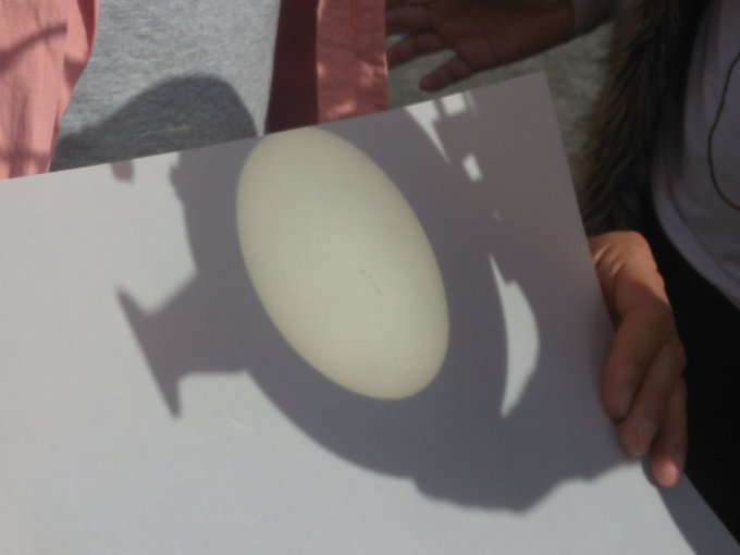 Ver imagen en Twitter