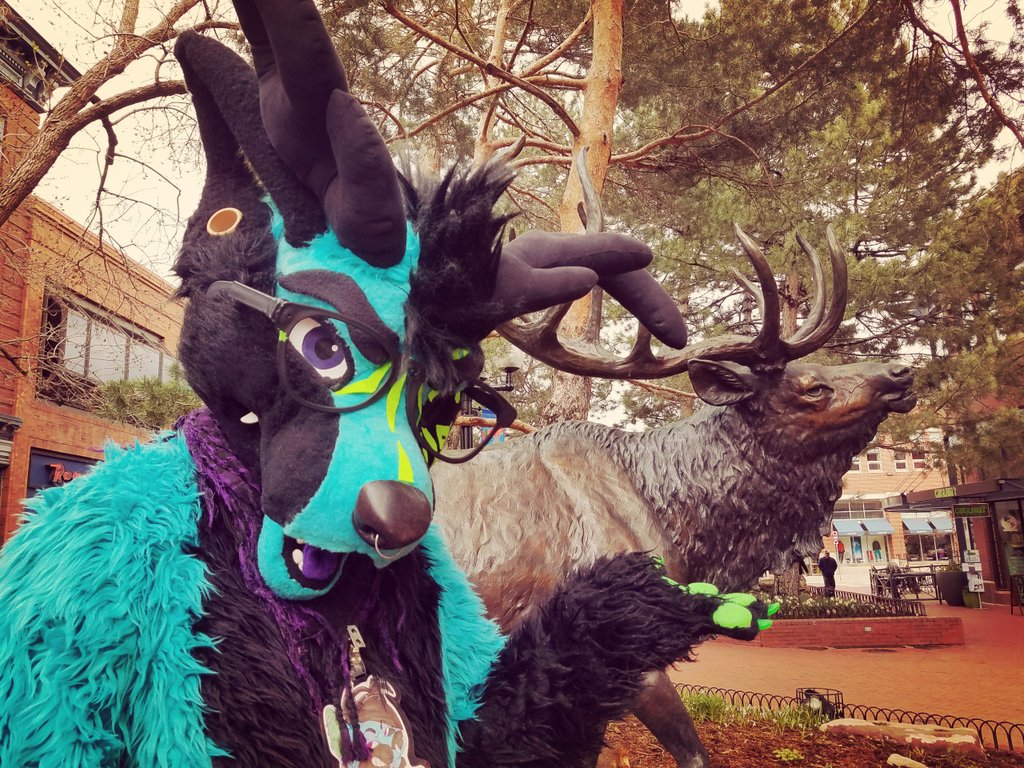 BlueFoxalope's tweet photo. I found my family! https://t.co/8KhCT8uqP9