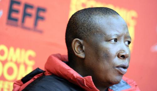 TranskeiGroup's tweet image. 600 Medical Cannabis Domains for #EFF  supporters thanks to the Boss