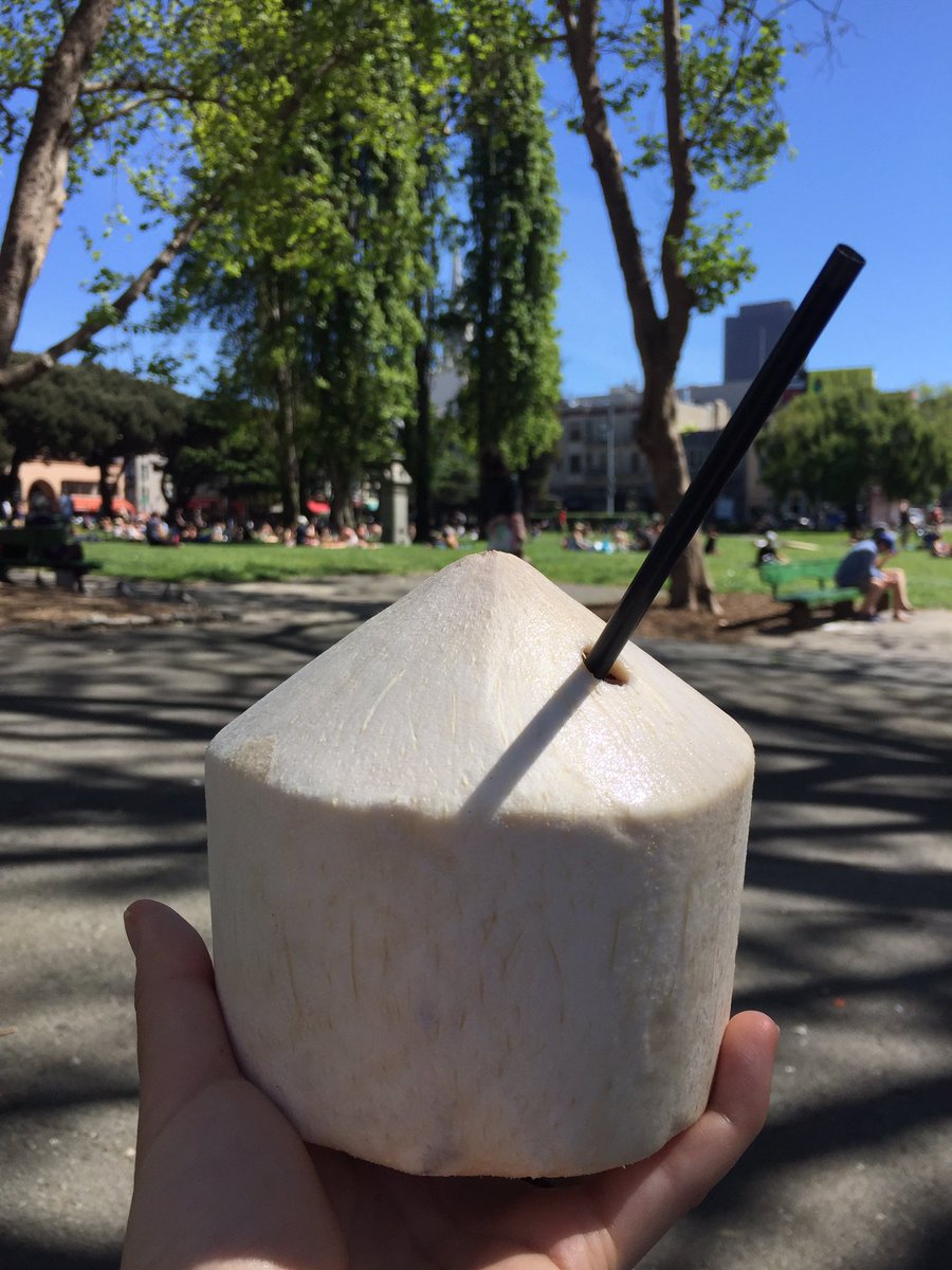 delightwithme's tweet photo. .@hitwcoffee perfect day for a coconut + iced coffee in Washington Square Park #bayarea #sf #sfday #coconut #coffee https://t.co/Nn8M1fveKQ
