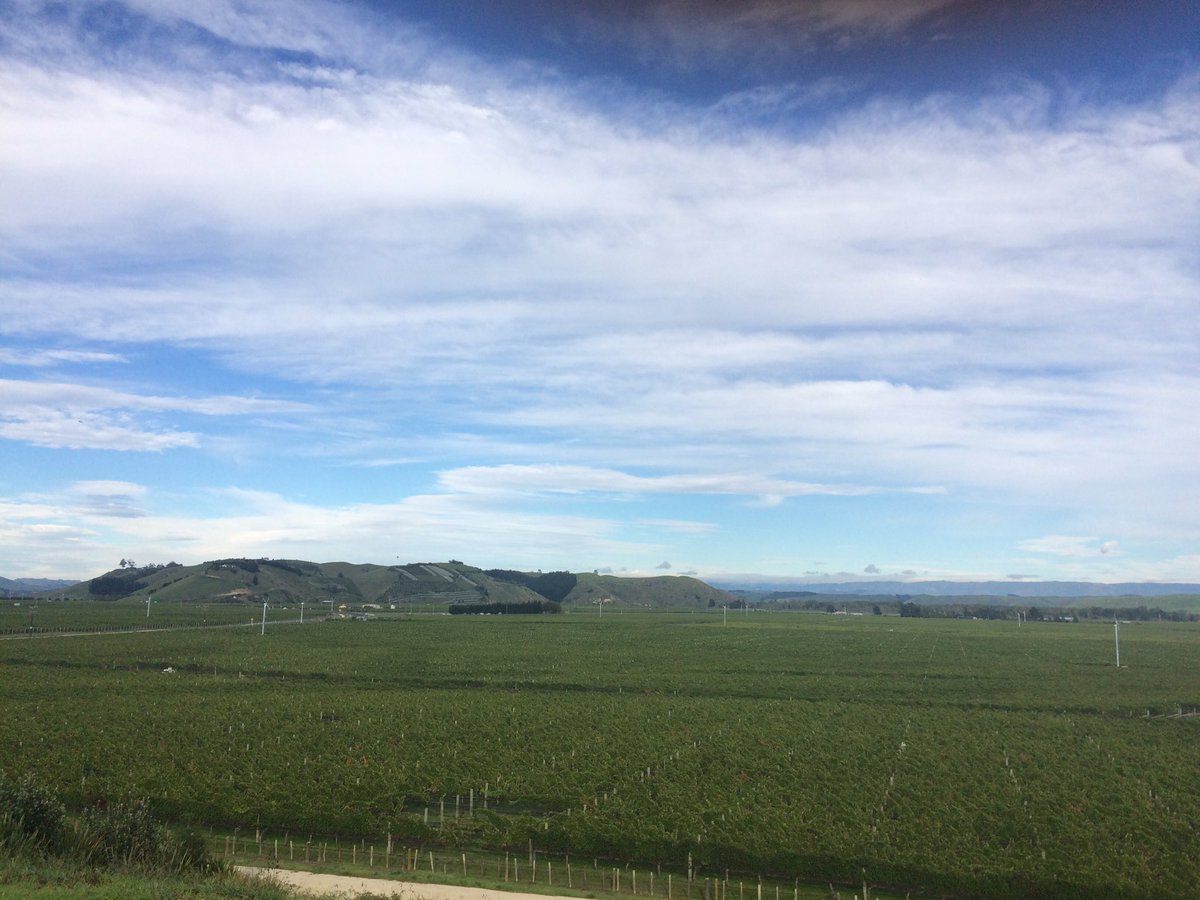 trinityhillwine's tweet photo. @GimbGravels this morning from Roy's Hill Reserve #nzv17 #hawkesbaywine https://t.co/YFjumf0yqs