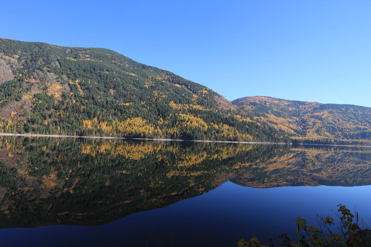 ForestServiceNW's tweet image. #DYK the @Colville_NF  has over 764 Miles of fish-bearing streams? With great weather expected this weekend, it's time get the lucky lures!