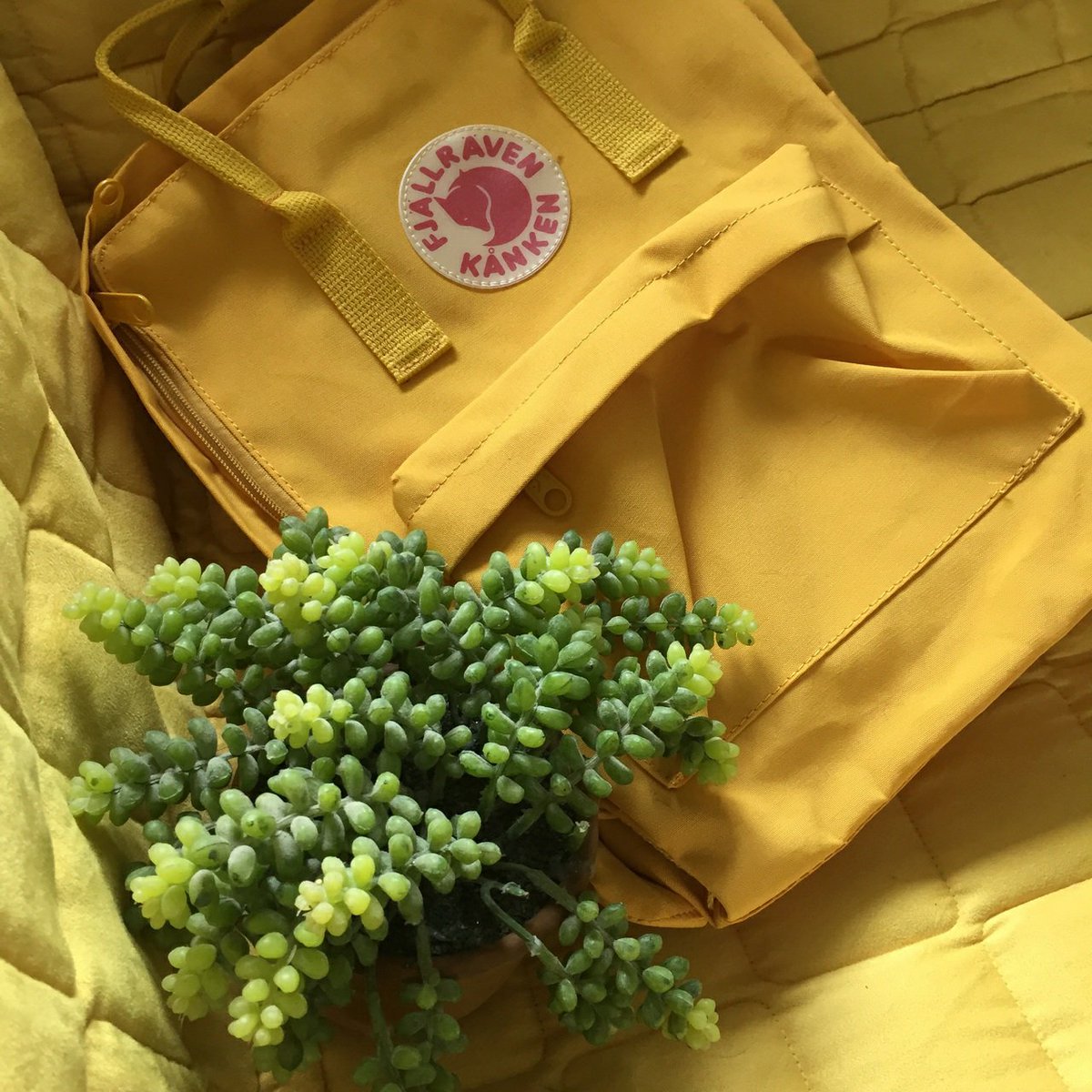 ebuIIiences's tweet image. ▷▷ｅ·ｂｕｌ·ｌｉｅｎｃｅ ◁◁
(      /iˈbo͝olyəns,iˈbəlyəns/         )

(noun.)

―the quality of being cheerful and full of energy