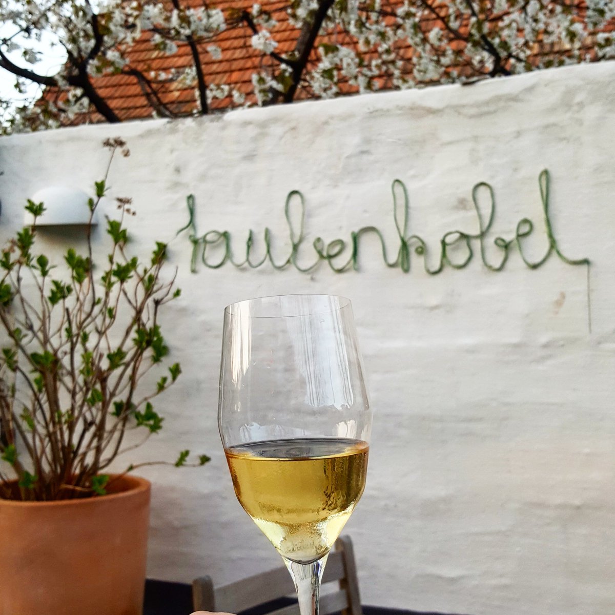 Topf_und_Deckel's tweet photo. Outdoor-Aperitif im #taubenkobel #gleichgehtslos#frizzante #worlds50best https://t.co/MEARRVeFtU