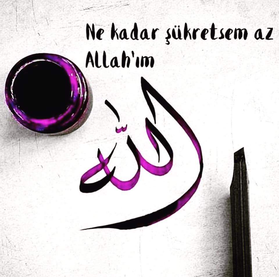 Hamit Uçar (@hamit_azizoglu) on Twitter photo 