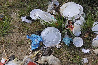 The CWE's first day of service is underway! We are cleaning up as much of the plastic and garbage that we can from the Bohn Hall hillside.