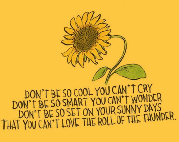 OmVibing's tweet image. 🌻