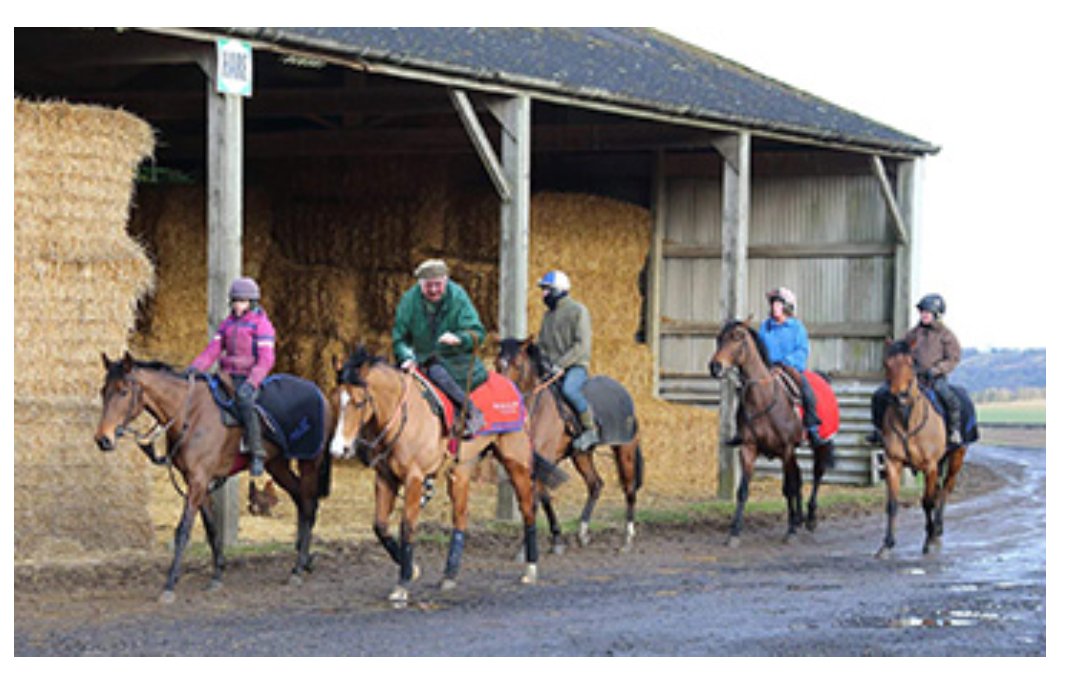 Just before my <a href="/FrankieDettori/">Frankie Dettori</a> flying dismount!! #Not