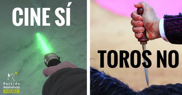 PartidoPACMA's tweet photo. Necesitamos 100.000 firmas! Si estás en contra del maltrato animal FIRMA AHORA 👉https://t.co/sunohfeFv4 #MisiónAbolición #CineSÍTorosNO https://t.co/3EWInBkMvc