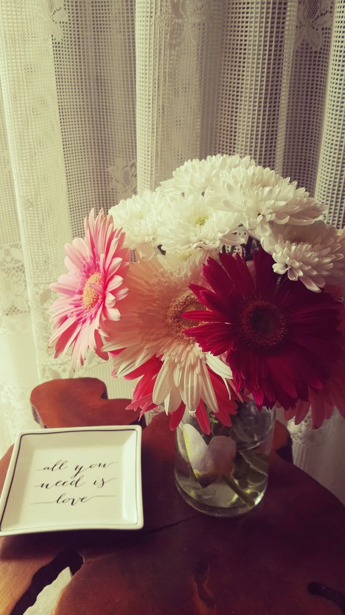 CatRiley87's tweet photo. Love is all you need. https://t.co/CQ7qcN9Mni