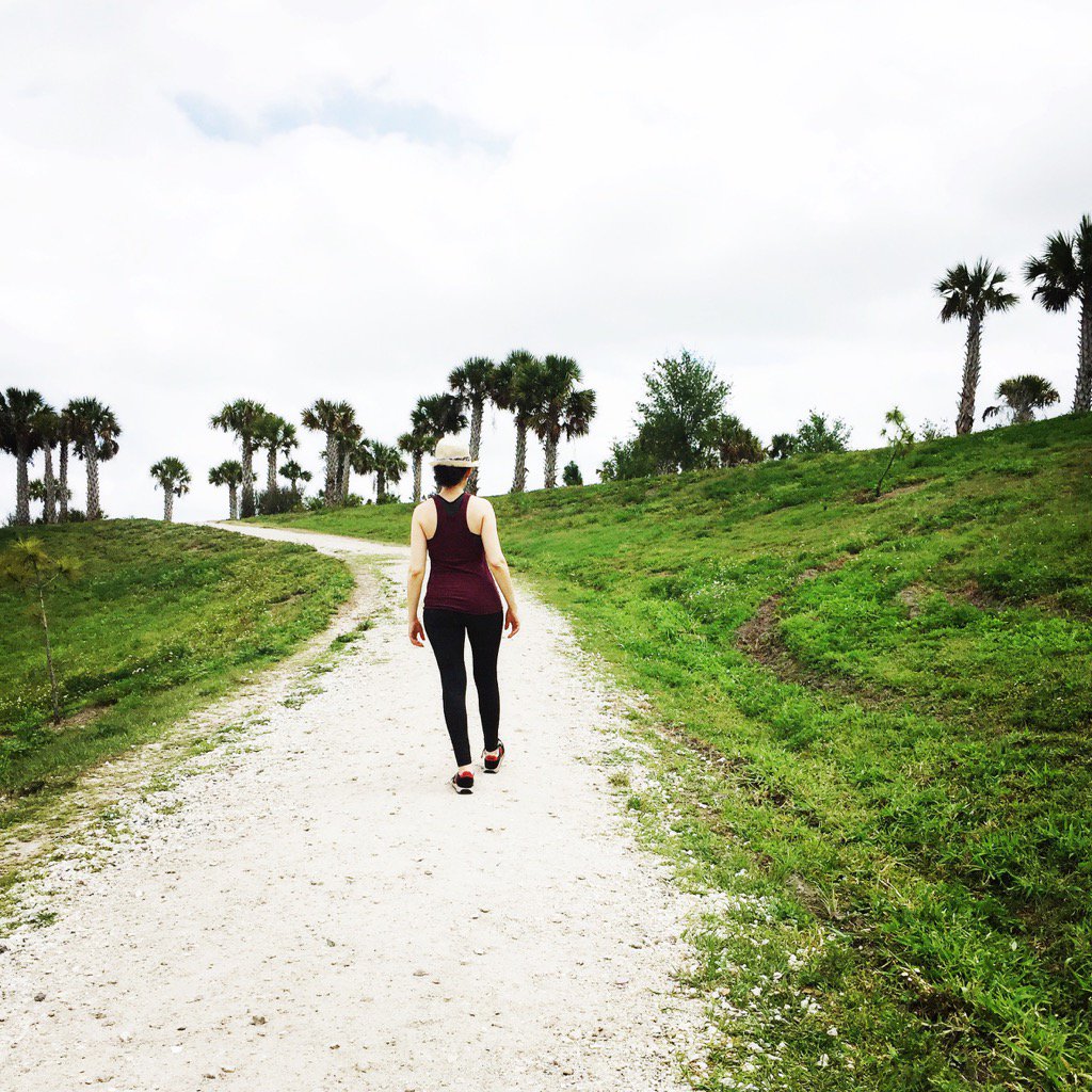 CindyKlinger's tweet photo. Enjoying a nature walk in an old celery field in Sarasota, Florida...among 🦋, 🐝 and tropical birds. #celery #fields https://t.co/WJra2a5AKs