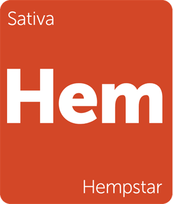 Leafly's tweet photo. "This is the perfect sativa for dialing in my focus &amp; getting in the flow of my work." #cannabis #SativaSaturday https://t.co/62w3YcDFc9 https://t.co/pr9JytPtTx