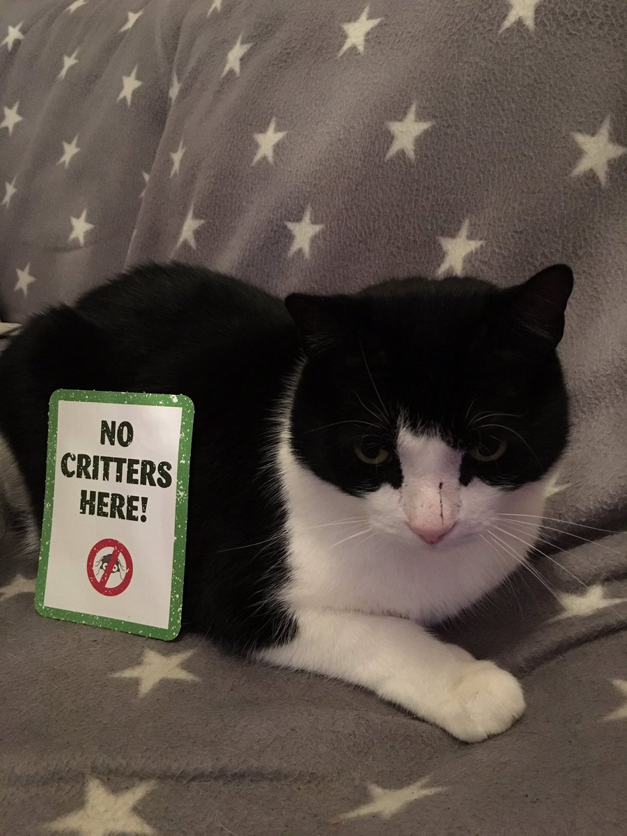ally_judd's tweet photo. @PetsatHome #critterfreeVIP https://t.co/mxsmgqpRMv
