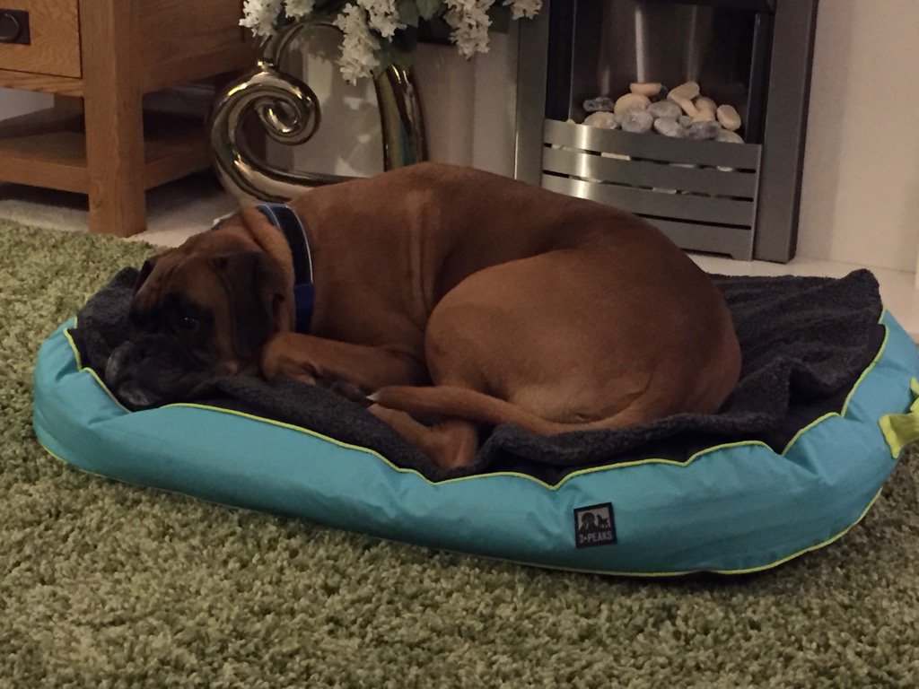 Chris Holyland tweet media