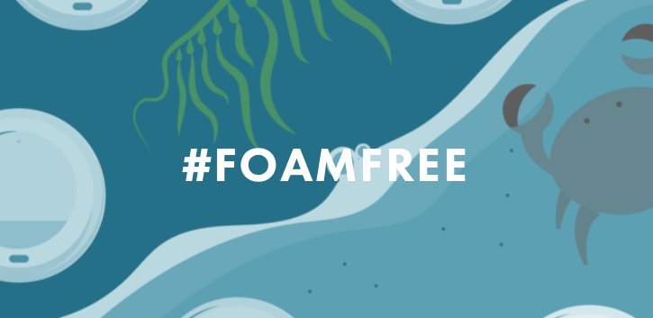 OceanChampions's tweet photo. 5 things you can do to prevent toxic plastic in our oceans. #FoamFree #MoreOceanLessPlastic #TrashFreeSeas @5gyres https://t.co/kLTadgoktp https://t.co/hGON0d2ERL
