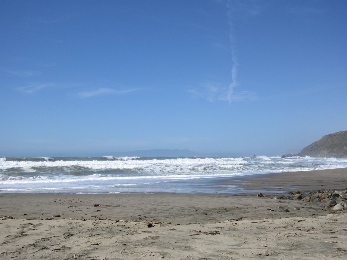 Pacifica Libraries tweet media