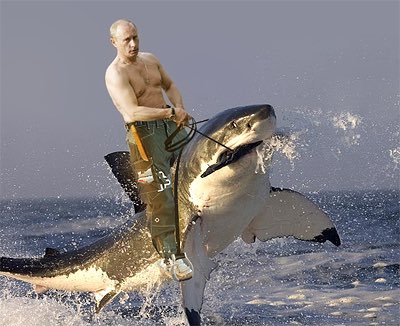 Onion_news_GCS's tweet photo. BREAKING NEWS: @GCS_RealPutin spotted patrolling Panama Canal 2.0 (fka Suez Canal) to ensure global safety. #gcs2017ORU https://t.co/gwopoC50sa