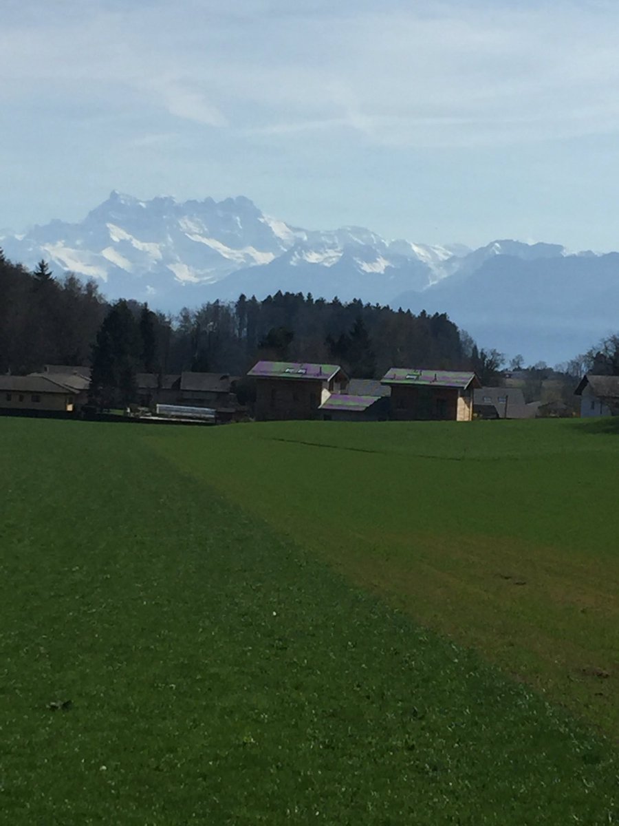 Alps Tweeter tweet media