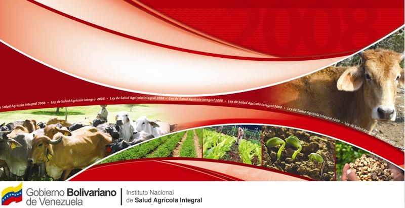 InsaiVeOficial's tweet photo. #DESCARGA | Te invitamos a conocer nuestra Ley de Salud Agrícola Integral >> https://t.co/aWiN49aaCG https://t.co/EHMiGTZI1D