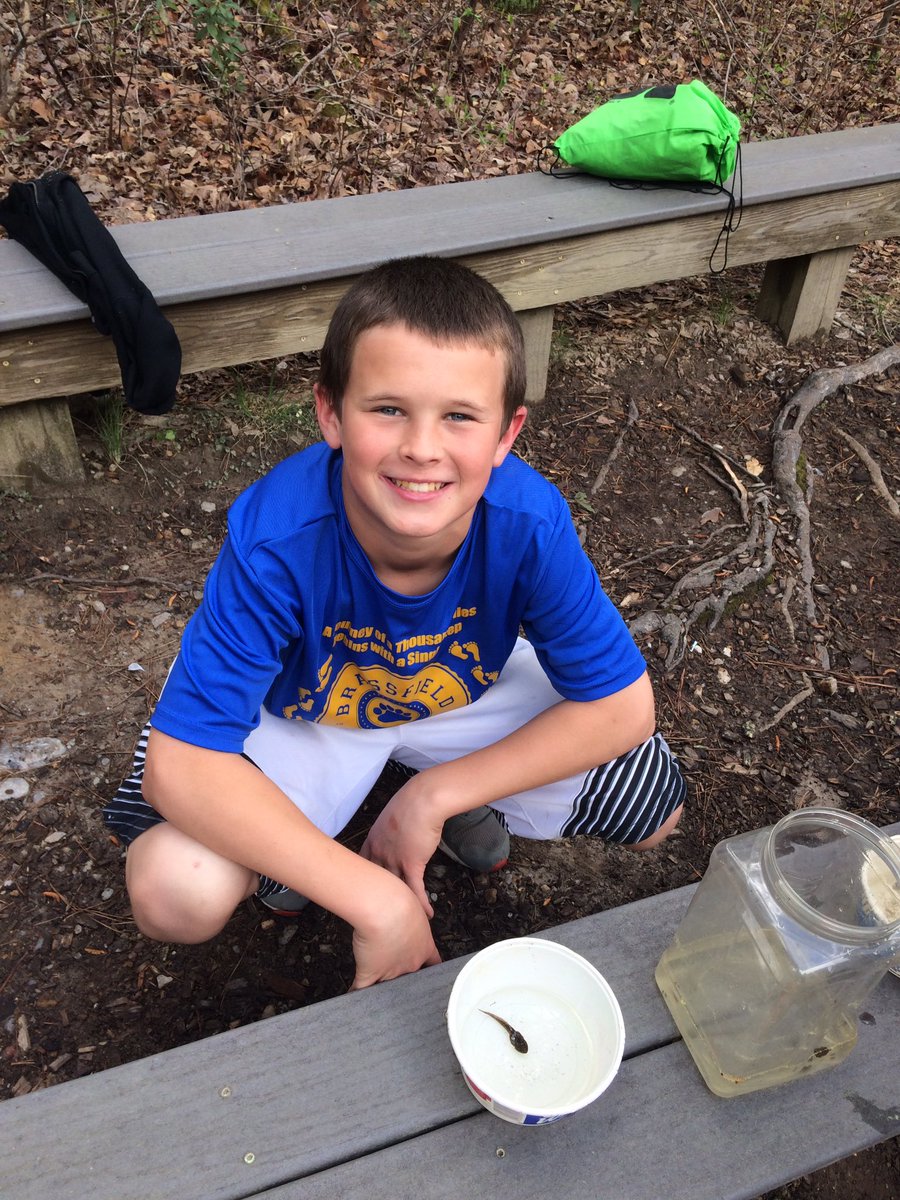 Beyer's 5th grade tweet media