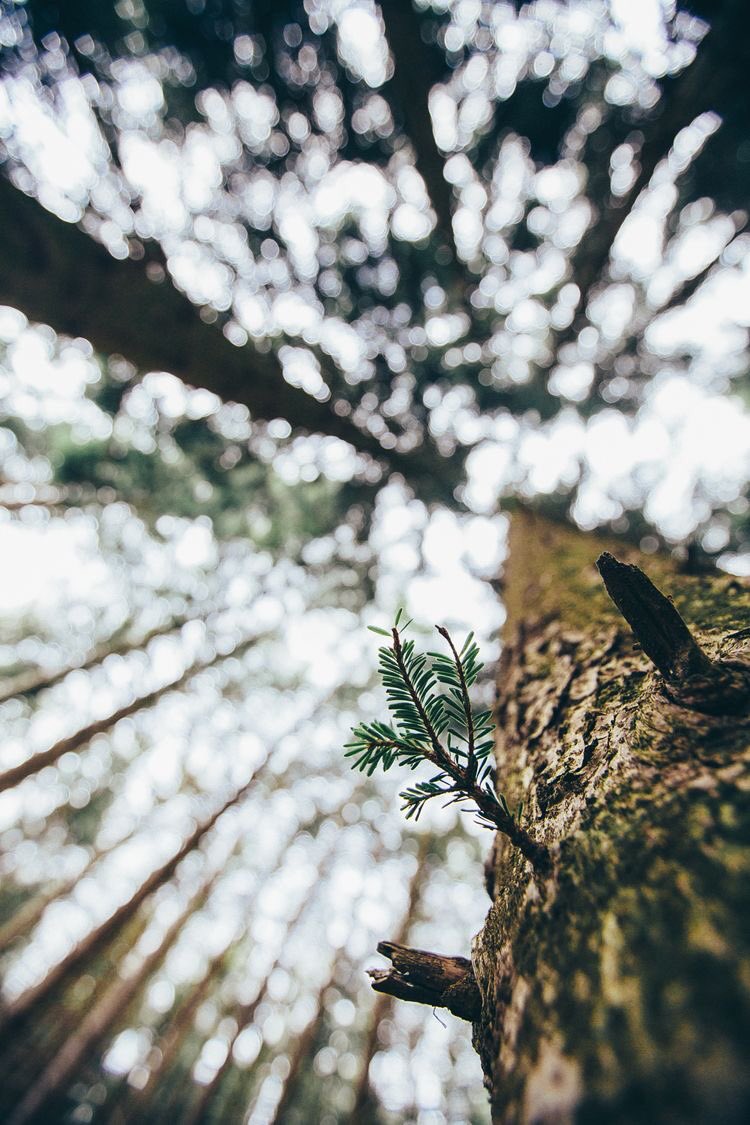 adventurful's tweet photo. Appreciate the little things 😌 https://t.co/ilRu7V7fes