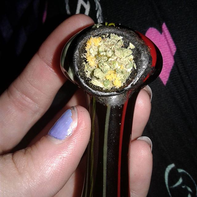 Who_Got_Loud's tweet photo. One of those days you throw everything on the bowl. Smoking creamstar, with some keif, grape dream cake batter, &amp; a Lil sherb distillate #az https://t.co/bDxG42R90M