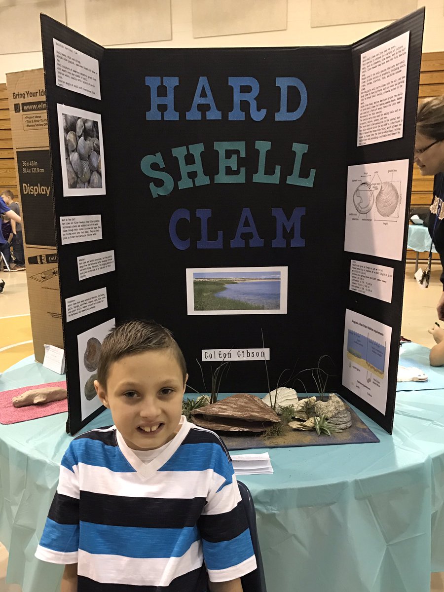 BGallion2's tweet photo. PES 3rd grade Under the Sea Day!🐬🐠🐬 #pyjpride https://t.co/AjbbYzHeJY