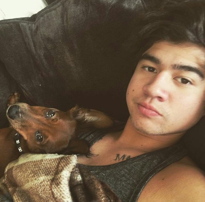 Calwm5sosx tweet picture